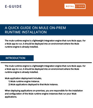 A Quick Guide on Mule On-Prem Runtime Installation
