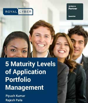 5 Maturity Levels of Application Portfolio Management