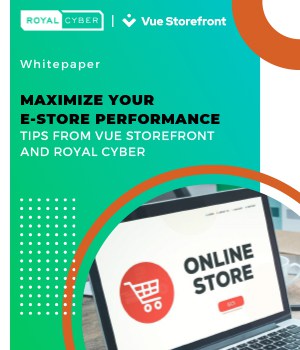 maximize-your-e-store-performance