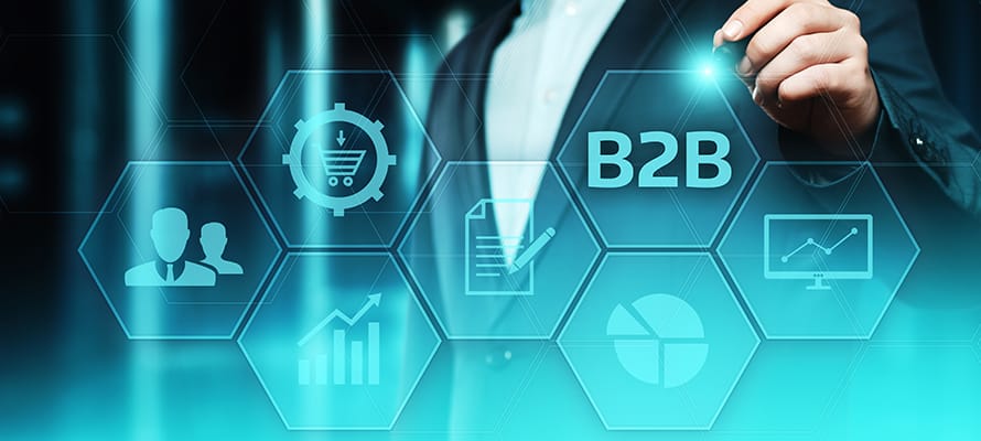 b-2-b-features-in-adobe-enterprise-edition b-2-b-features-in-adobe-enterprise-edition