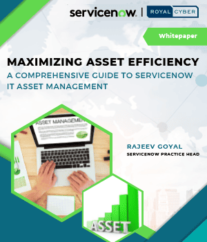 Maximizing Asset Efficiency